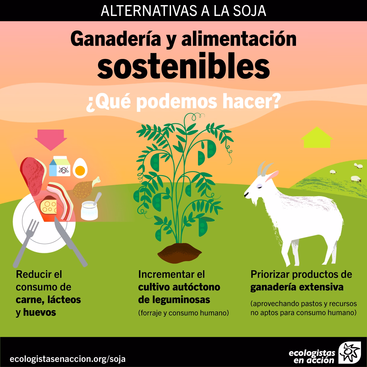 ¿Cuál es el porcentaje de disminución en la producción de ganado bovino?