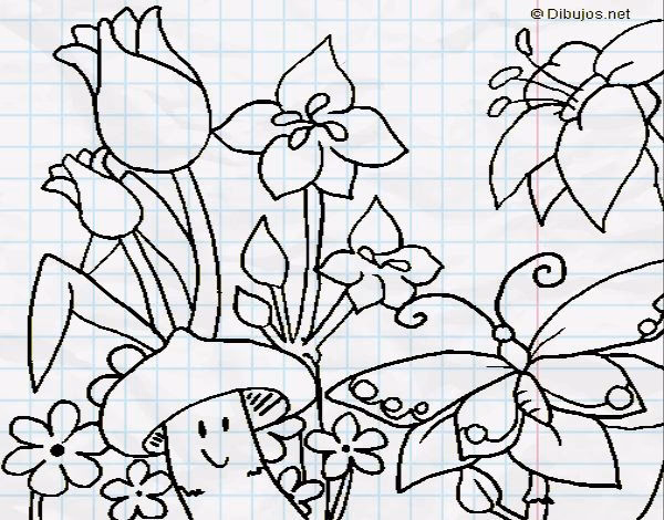 ¿Cómo afecta el cambio climático a las especies?