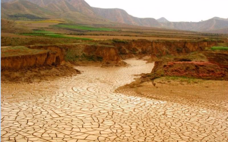 ¿Cuáles son las diferencias entre Chad y Camerún?