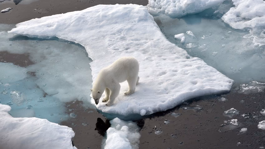 ¿Cómo se está desarrollando la economía del calentamiento global en Rusia?