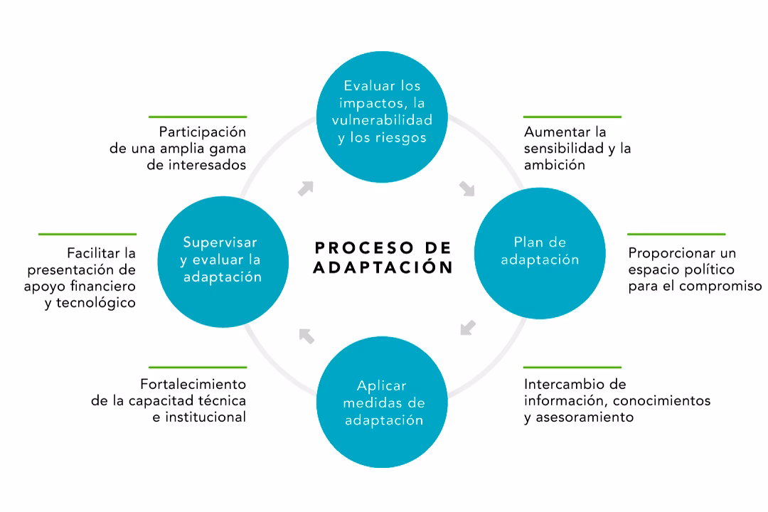 ¿Cómo surgió la bipedación?
