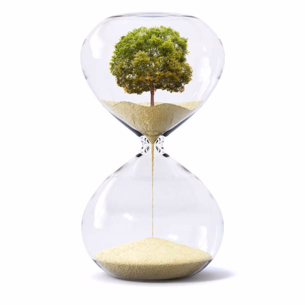 ¿Cómo se eliminan las estructuras de los relojes de arena?