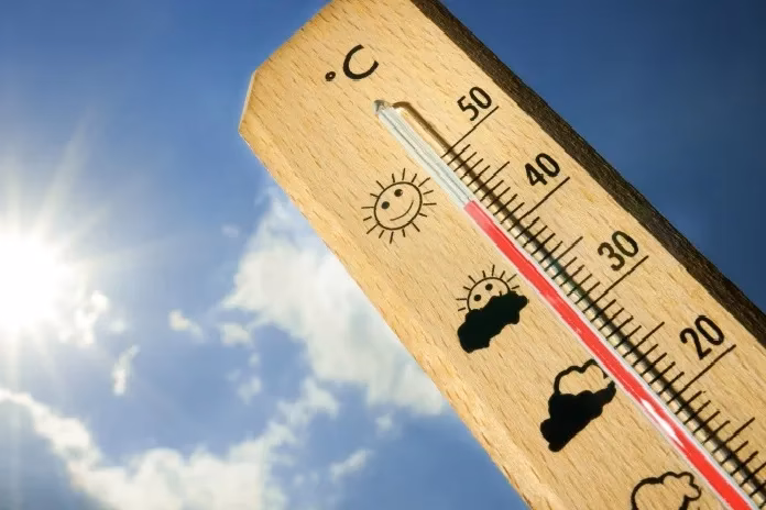 ¿Cómo actuar sobre el cambio climático?