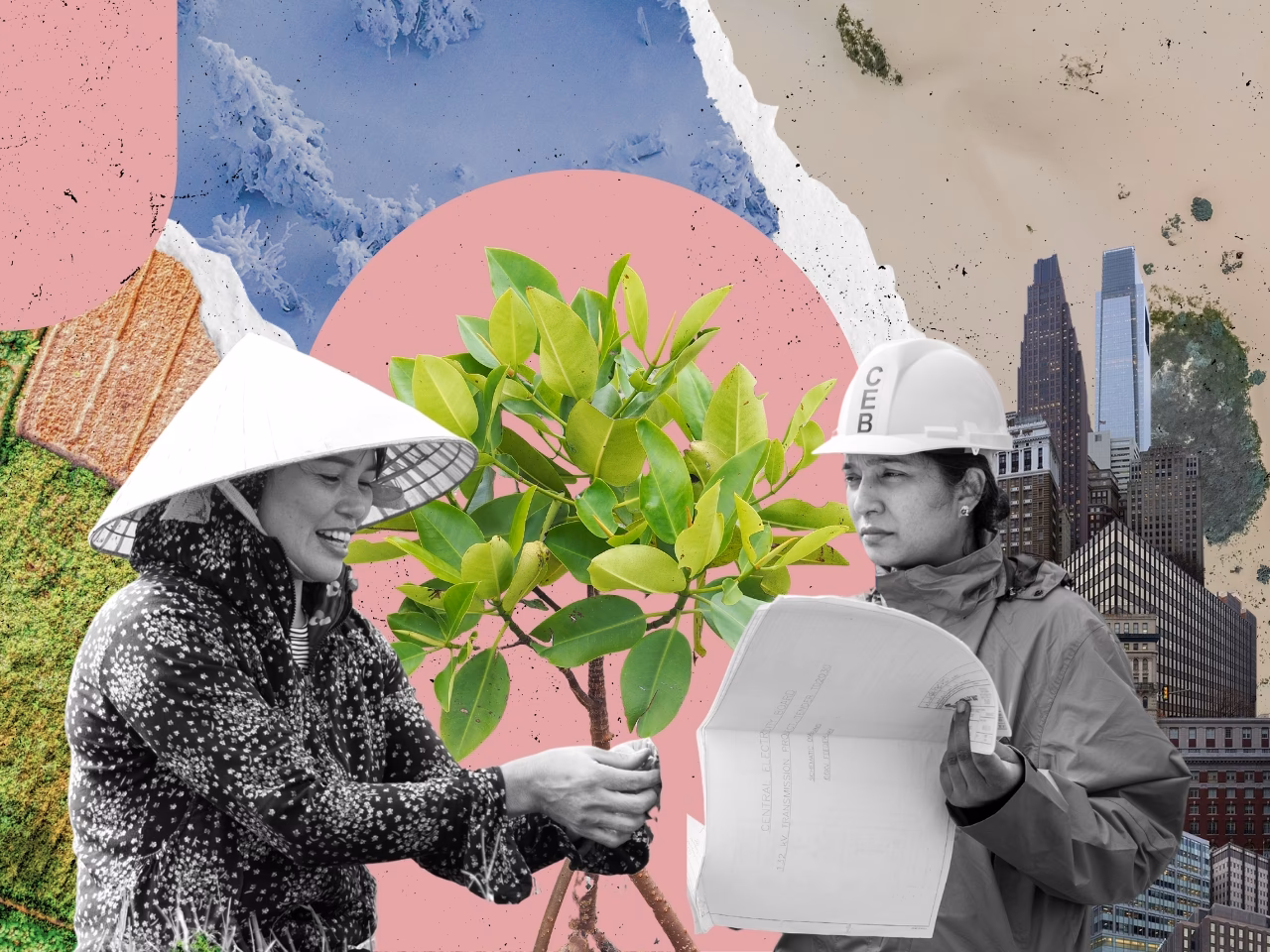 ¿Por qué el ser humano debe adaptarse a los cambios climáticos?