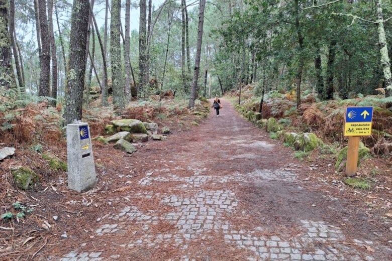 ¿Por qué las víctimas contaminadas no pueden caminar por sí mismas?