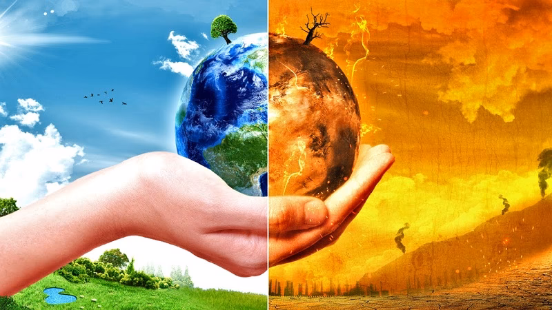 ¿Qué es el Llamamiento Mundial de las Naciones Unidas a la acción individual frente al cambio climático?