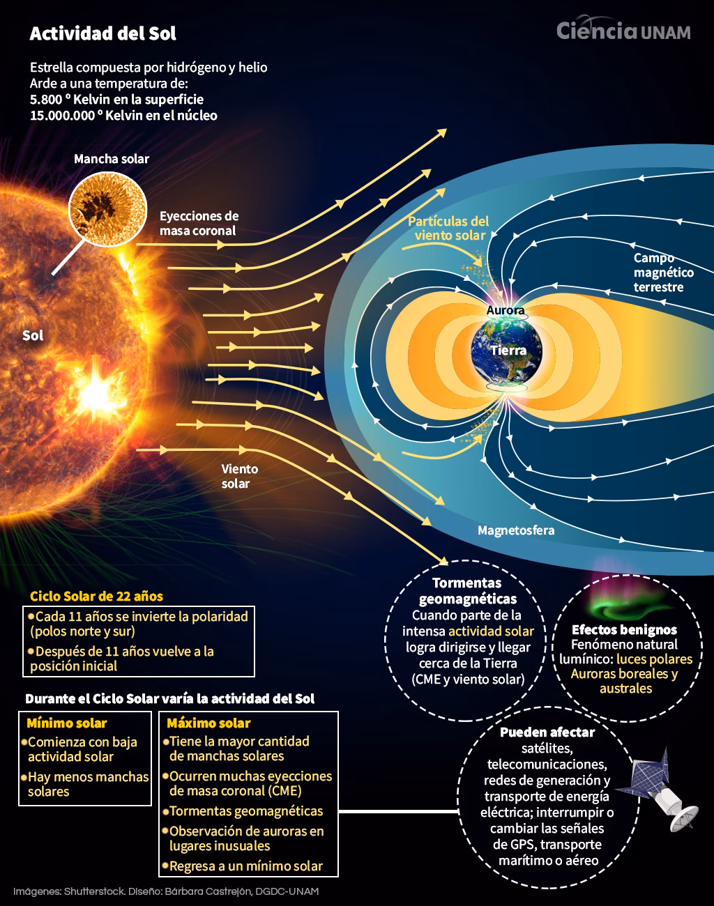 ¿Cómo afectan las fluctuaciones del campo magnético terrestre?