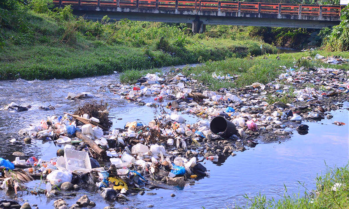 ¿Cómo afecta la contaminación del agua en Quintana Roo?