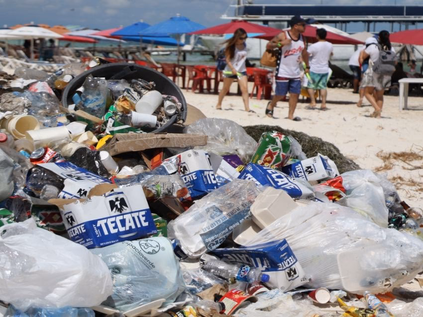 ¿Cuáles son los problemas ambientales de Cancún?