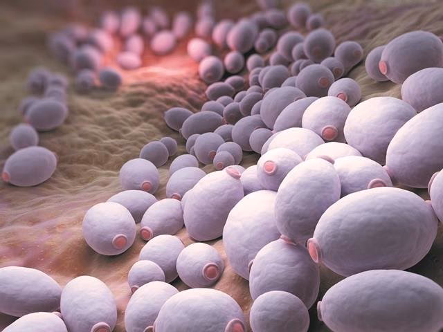 ¿Cuáles son los lugares de presentación más frecuentes de la candidiasis superficial?