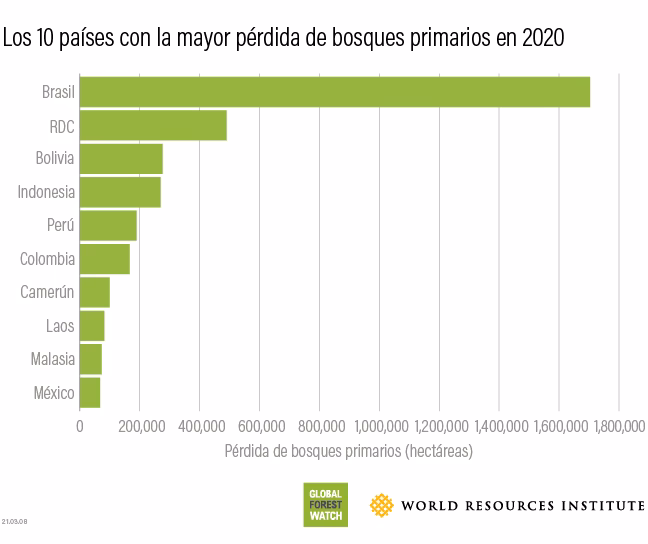 ¿Cuántos árboles se deforestan al año?