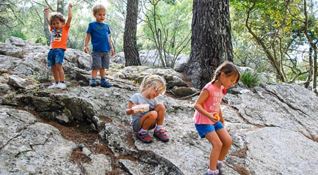 ¿Qué es la asimilación y la acomodación?