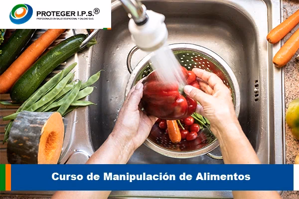¿Qué es la capacitación en inocuidad de los alimentos?