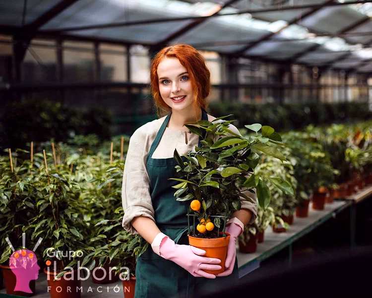 ¿Cuántos productores se capacitan en agricultura orgánica?