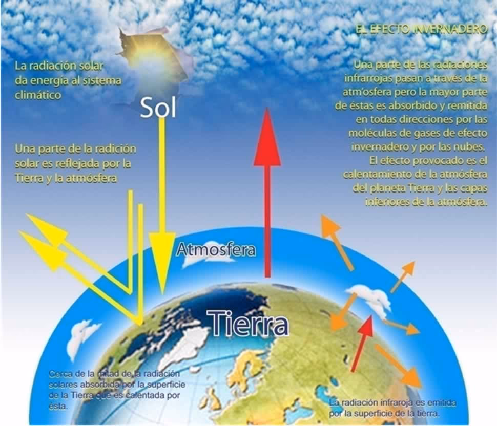 ¿Cuáles son los efectos del cambio climático?