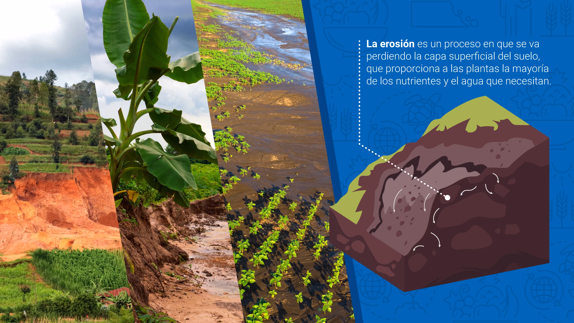 ¿Cómo se forman las capas del suelo?