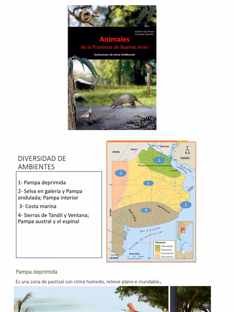 ¿Cuáles son las dos formas de ocupación del espacio en la región pampeana?
