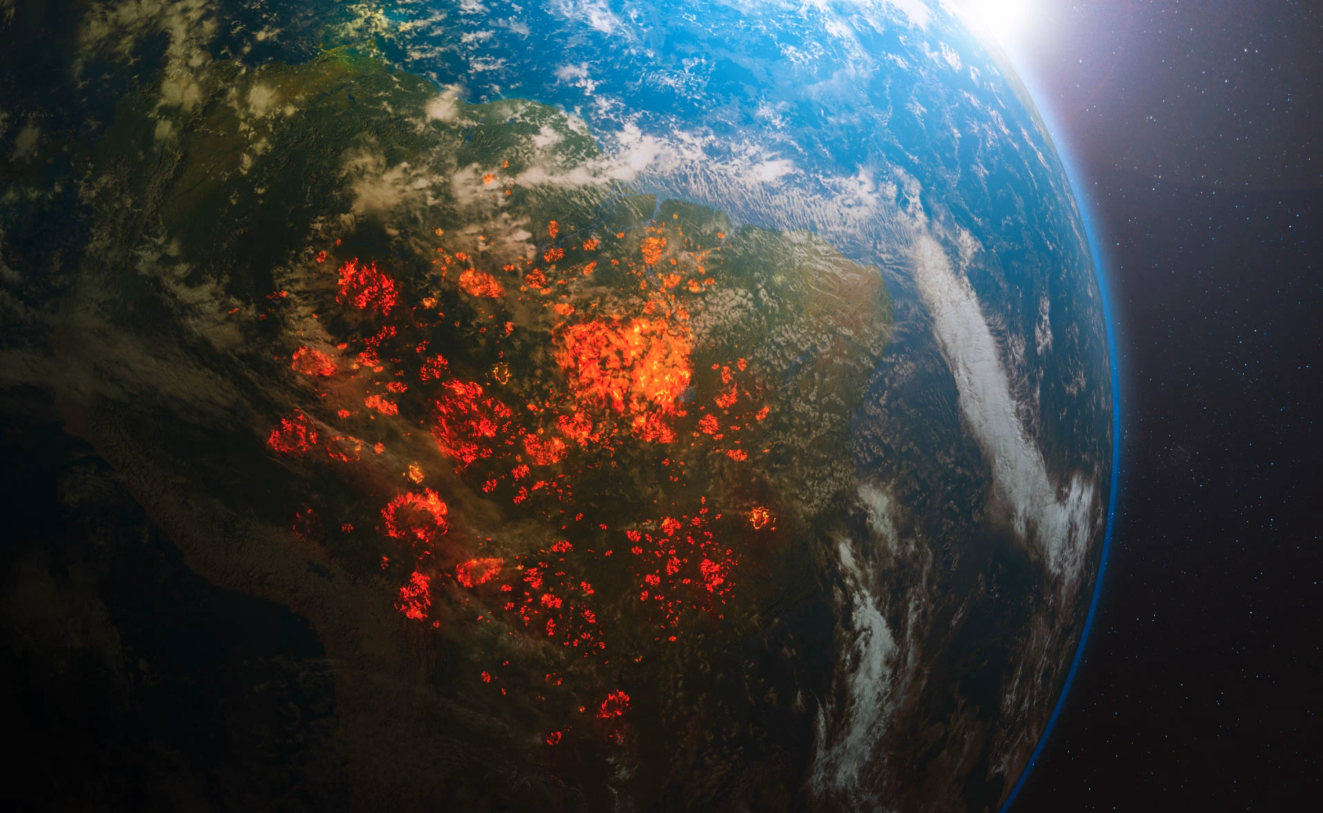 ¿Qué es el delito de ecocidio?