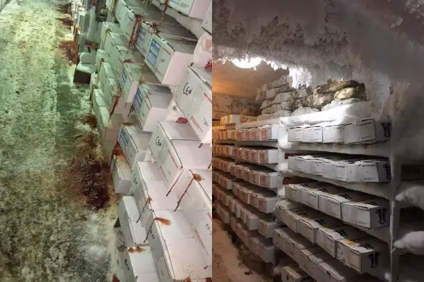 ¿Qué pasó con la carne contaminada?