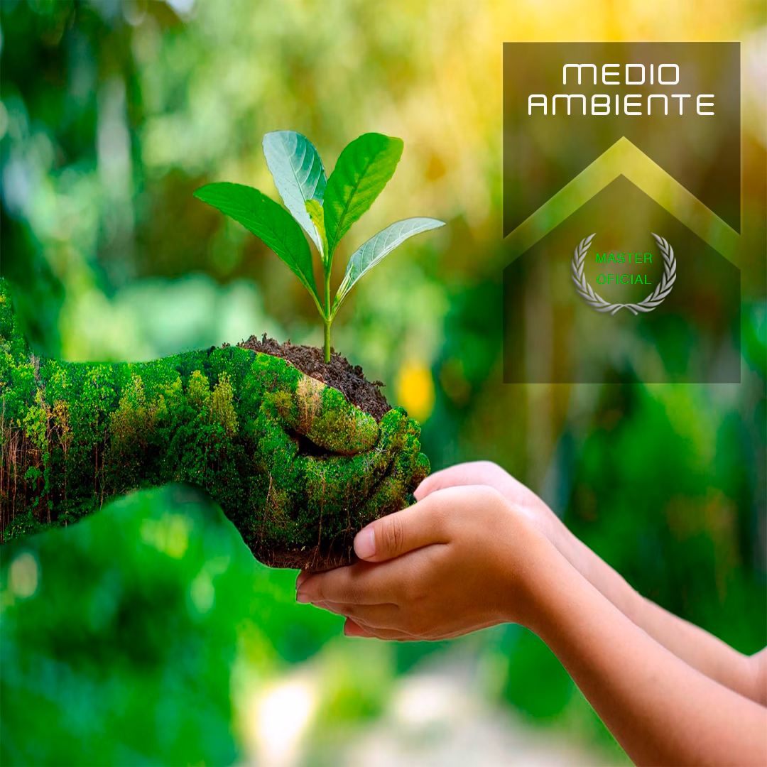 ¿Cuáles son las carreras de un técnico de medio ambiente?