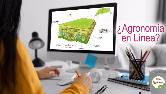 ¿Qué es la carrera de Agricultura?