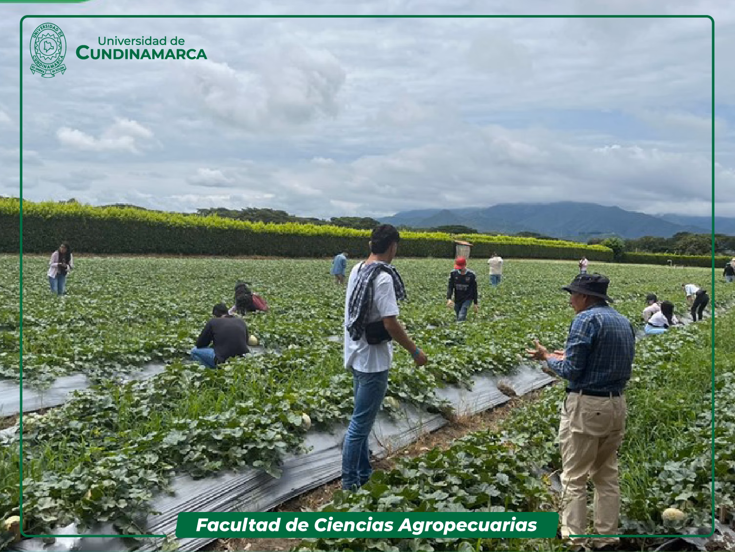 ¿Qué es la carrera de Agricultura?