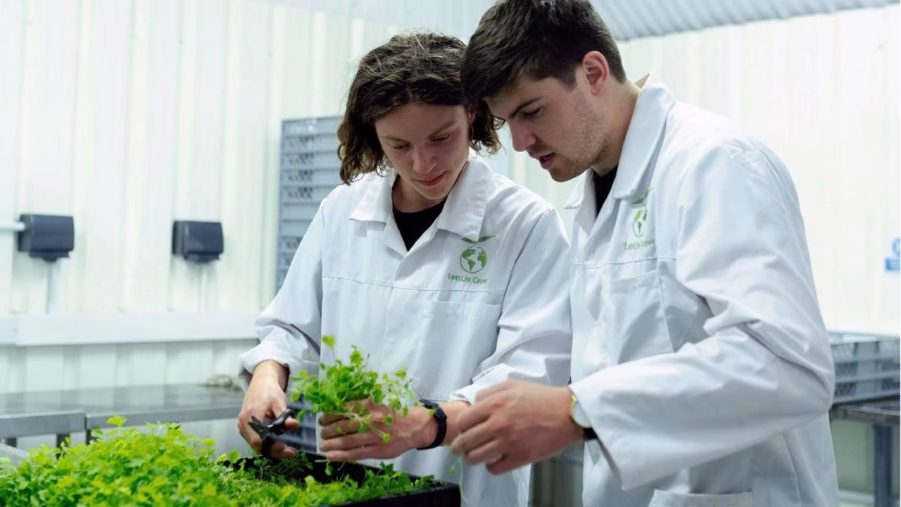 ¿Qué es la carrera de conservación?