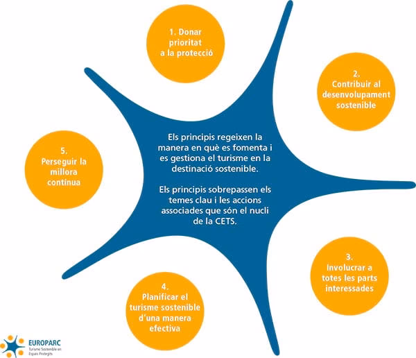 ¿Qué es la Carta Mundial del Medio Ambiente?