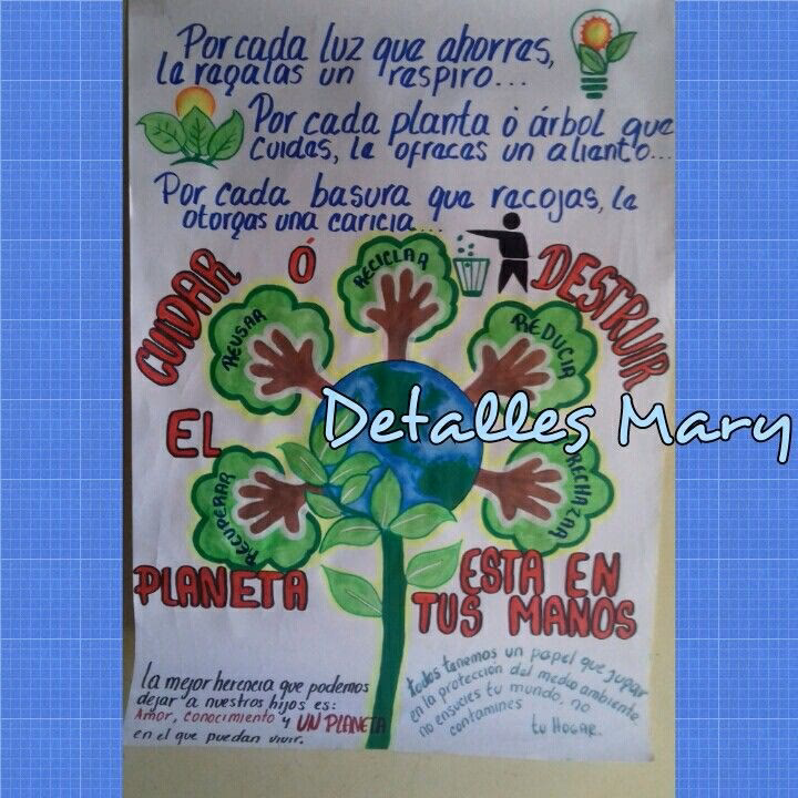 ¿Cuándo es el cine de Medio Ambiente y territorial?