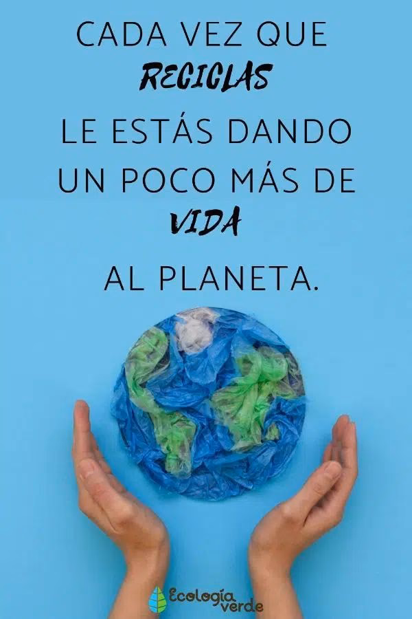 ¿Cómo cuidar el medio ambiente?