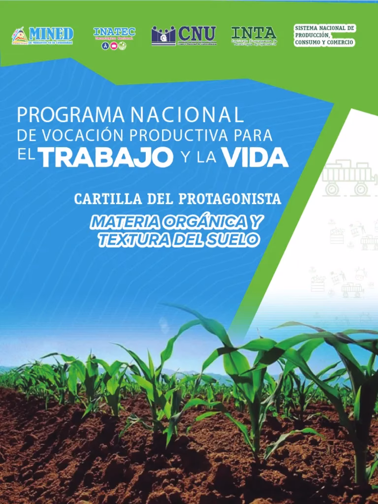 ¿Por qué es económica la huerta orgánica?