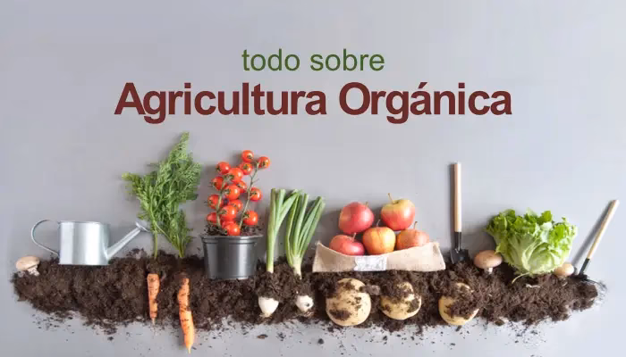 ¿Cuál es el libro de la agricultura orgánica?