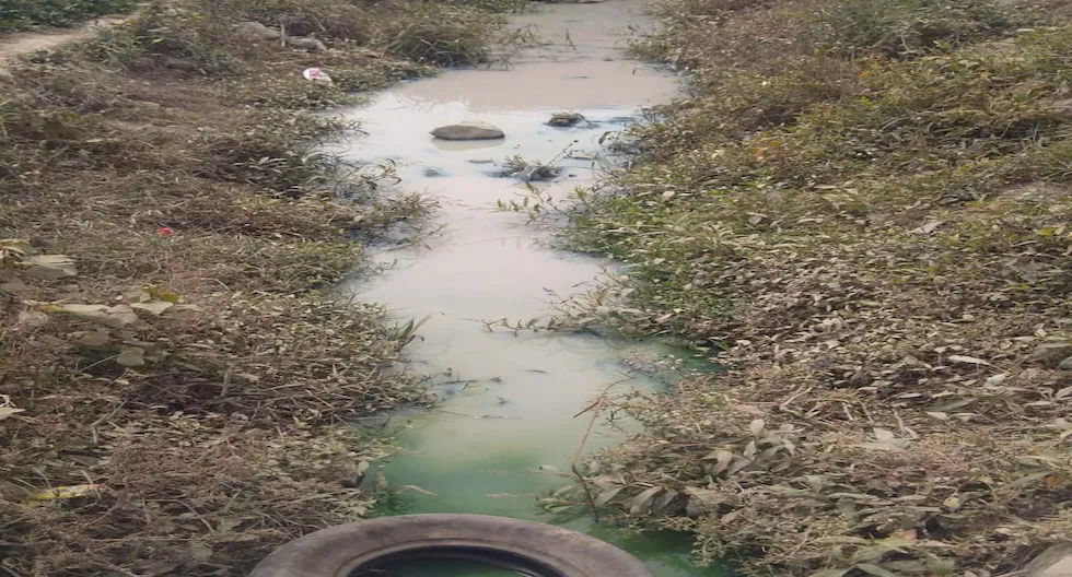 ¿Dónde se encuentran las acequias?