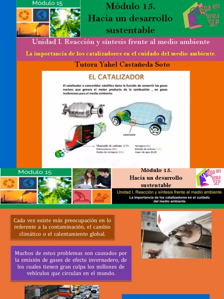 ¿Cuáles son los diferentes tipos de catalizadores?