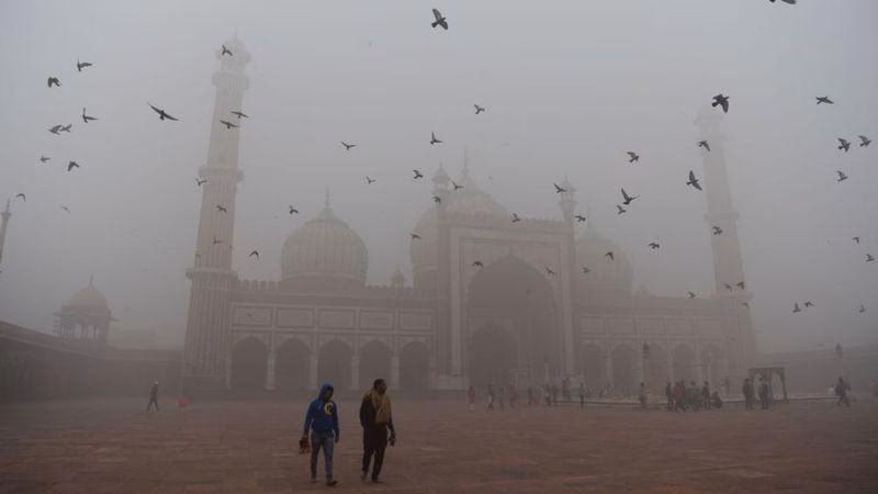 ¿Cuáles son las principales causas de la contaminación en Delhi?