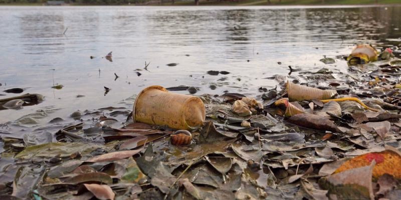 ¿Cuáles son los problemas de salud causados por el agua contaminada?