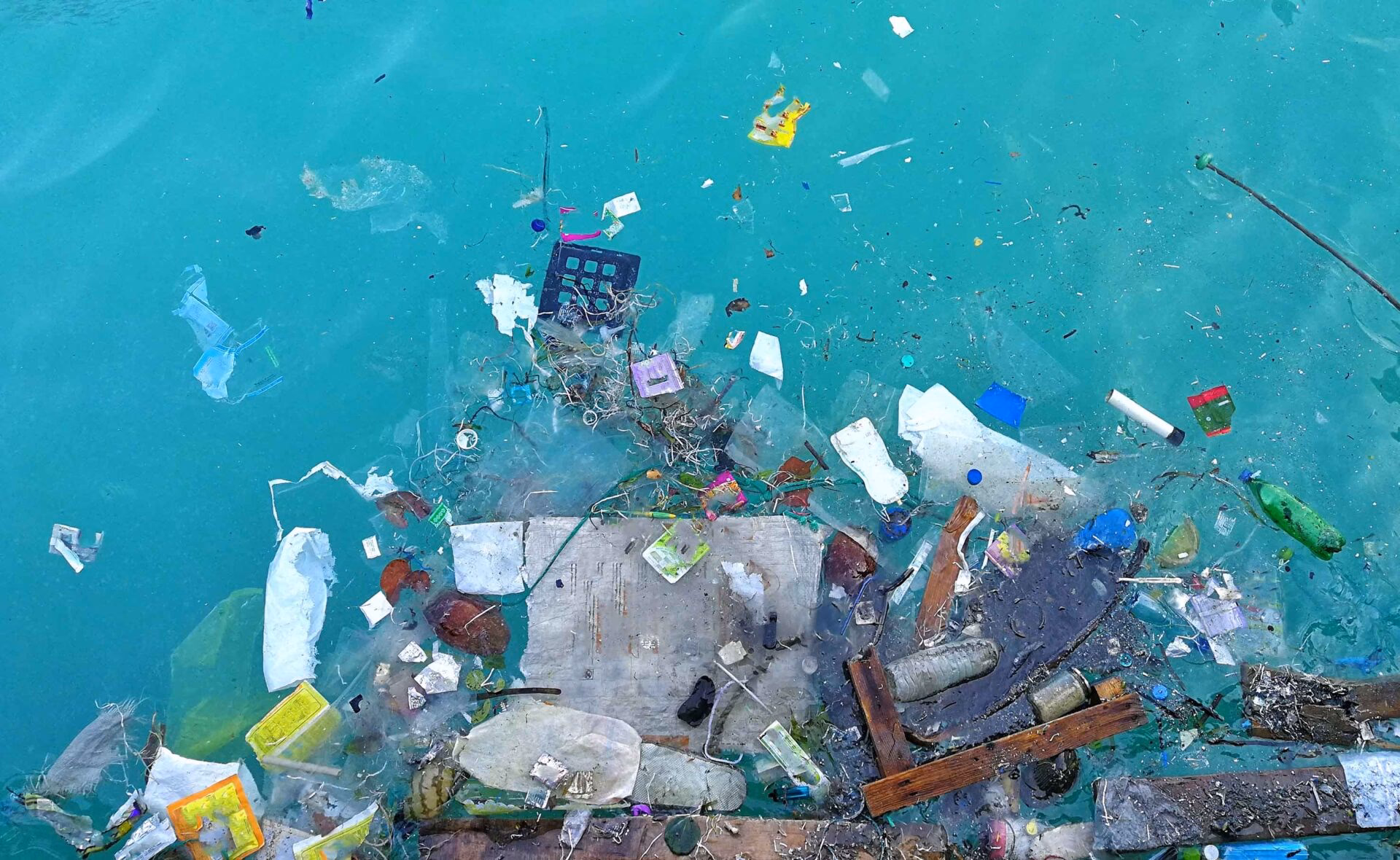 ¿Qué es la contaminación del agua dulce?