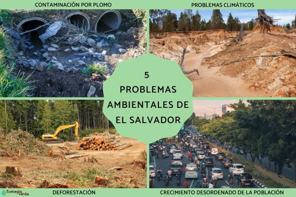 ¿Cómo afecta el calentamiento global al mundo?