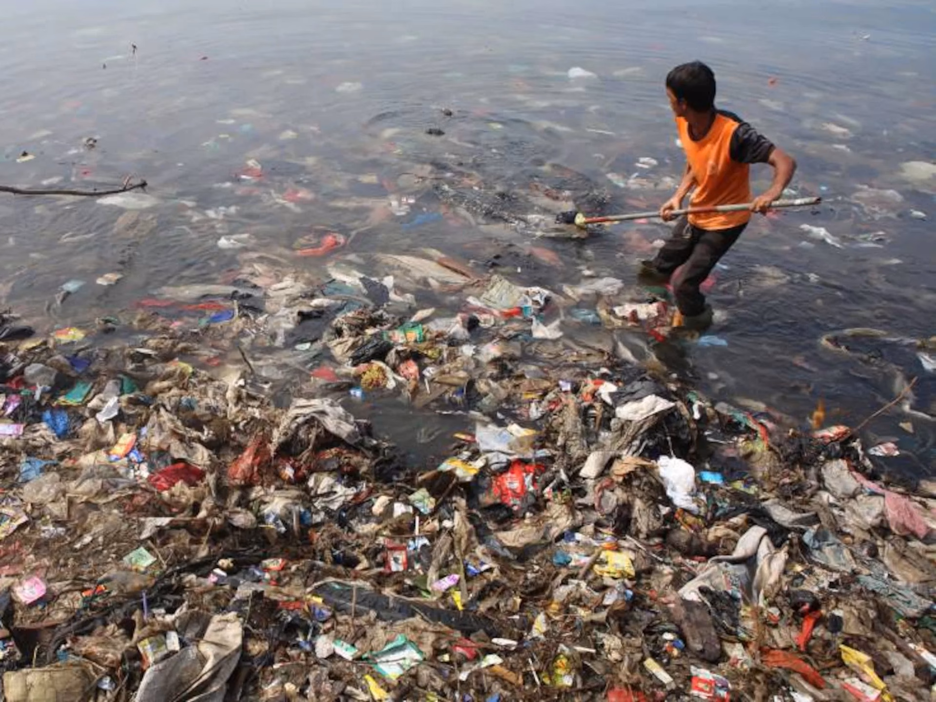 ¿Cuáles son las causas de la degradación del Medio Ambiente?