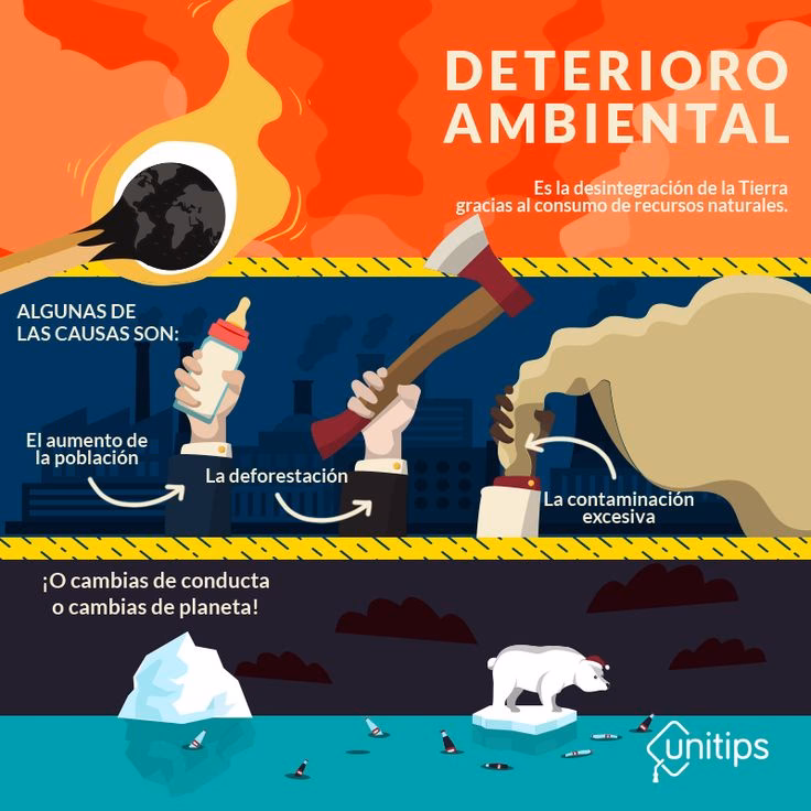 ¿Cuáles son las consecuencias del descuido del Medio Ambiente?