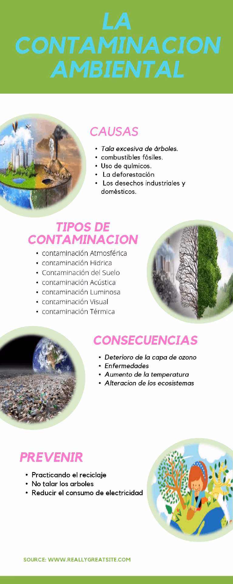 ¿Cuáles son las consecuencias de la crisis ambiental?