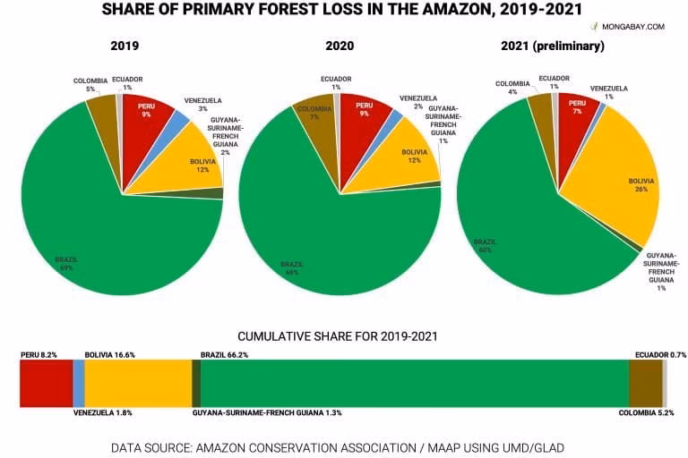Why is the Amazon rainforest disappearing?