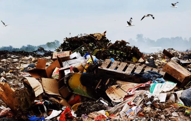 ¿Cómo afectan las uvas a los productos contaminantes?