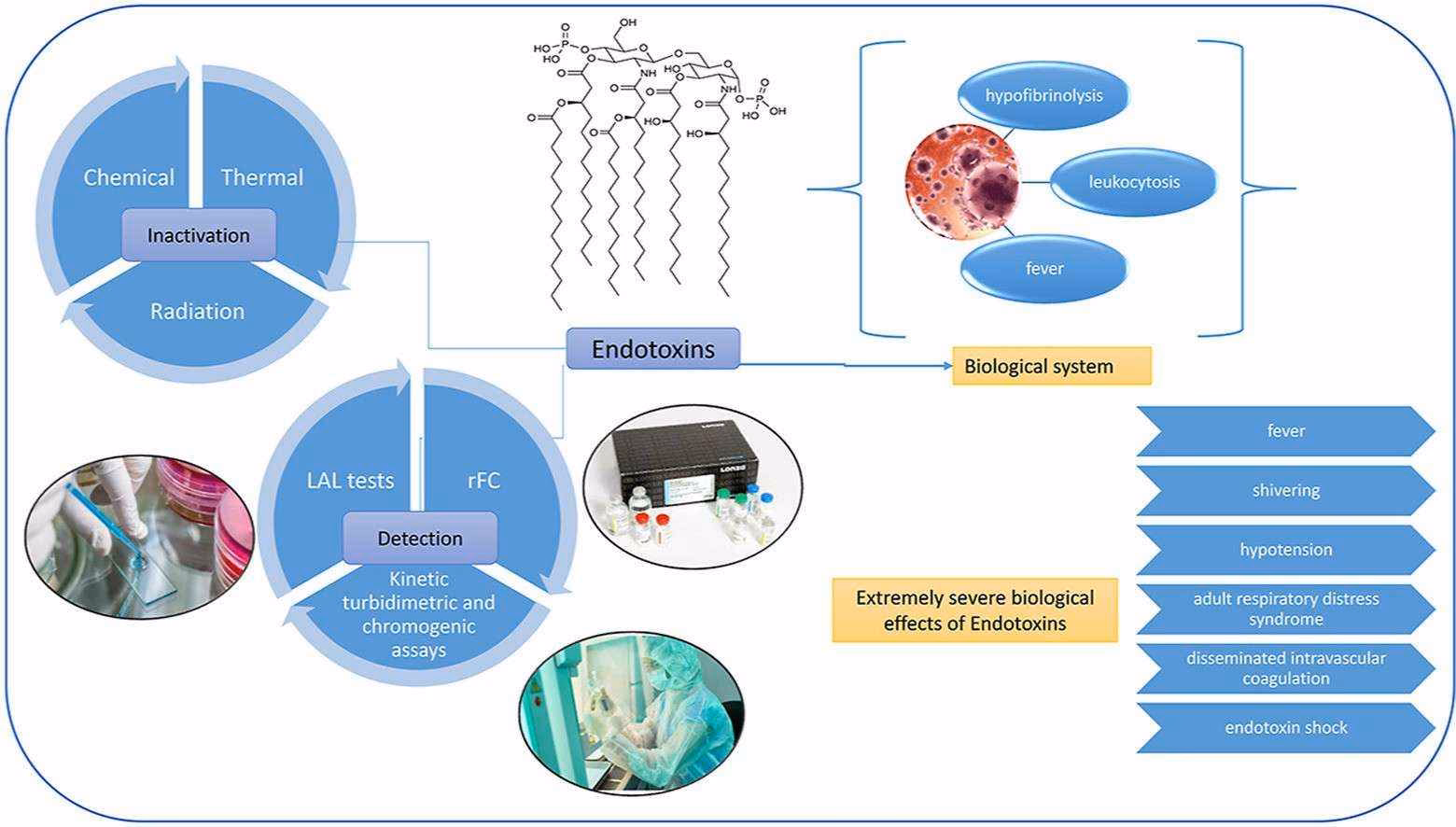 How can a manufacturing process reduce endotoxins?