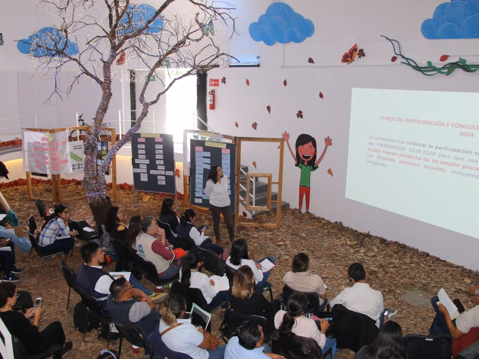 ¿Cuáles son los centros de Desarrollo Regional?