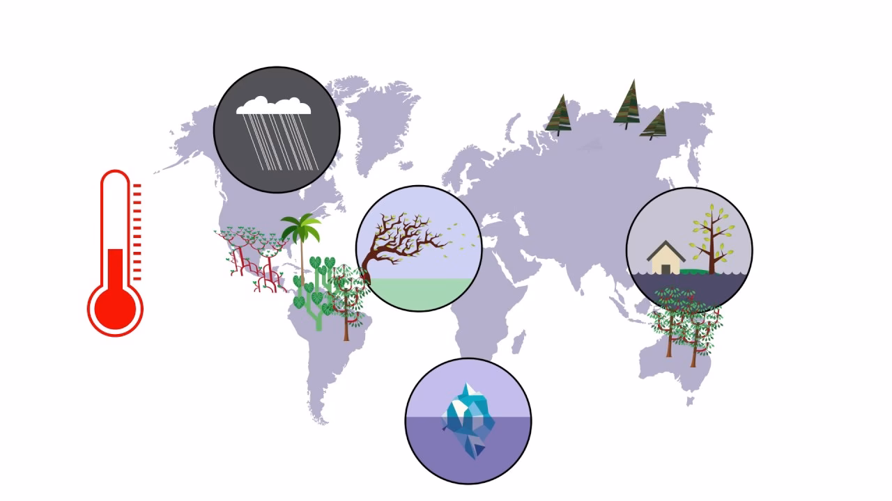 ¿Qué es la base de datos de la CEPAL?