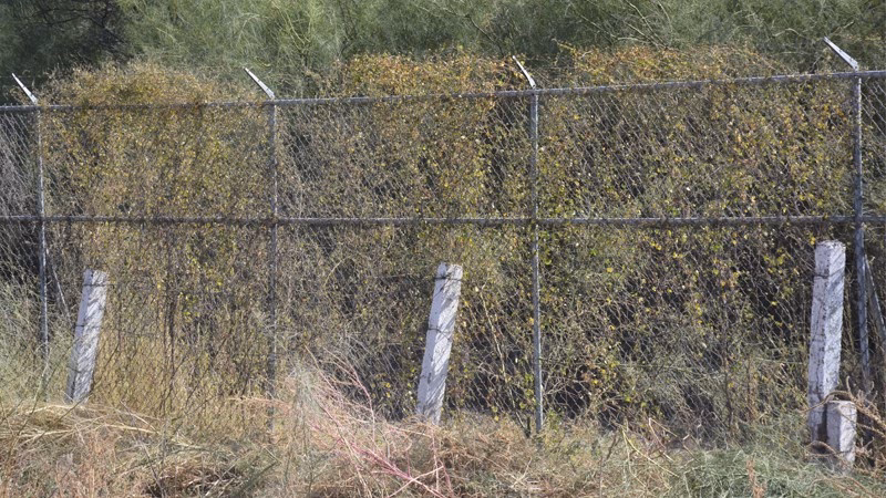 ¿Cuál es el área perimetral más contaminada del mundo?