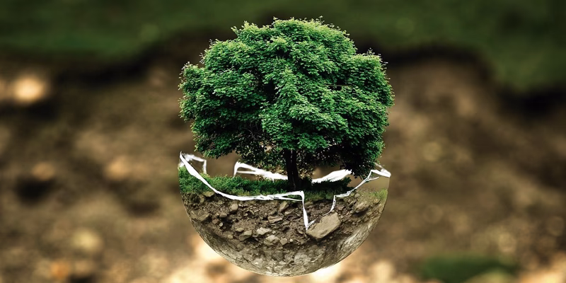 ¿Qué es el riesgo cero y la contaminación cero?