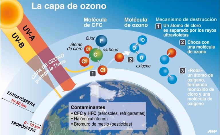 ¿Qué son los CFC y cómo afectan al medio ambiente?
