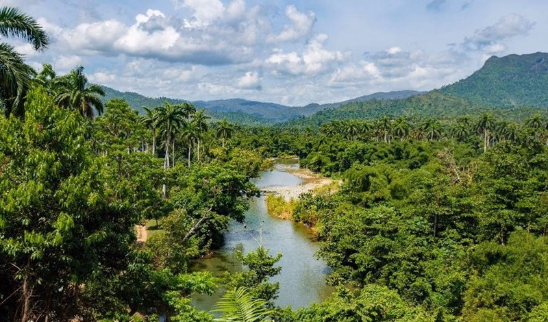 ¿Cuál es la resolución final de la Conferencia Mundial del Medio Ambiente?